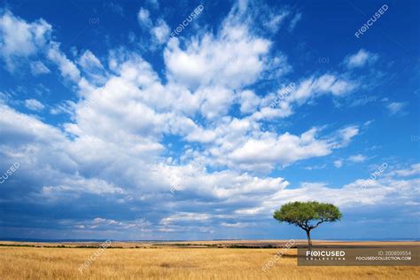 Blue Sky Africa .
